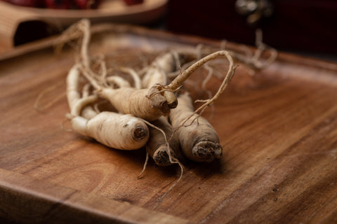 Panax ginseng